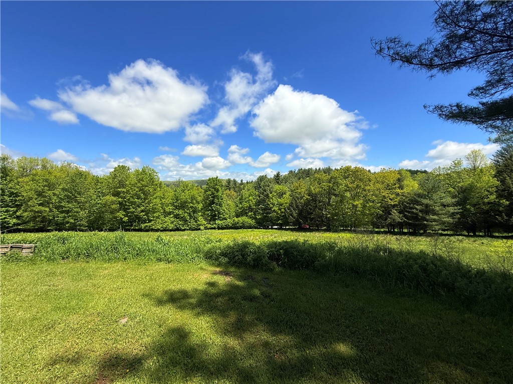 2113 Prosser Hollow Road, Davenport, New York image 13