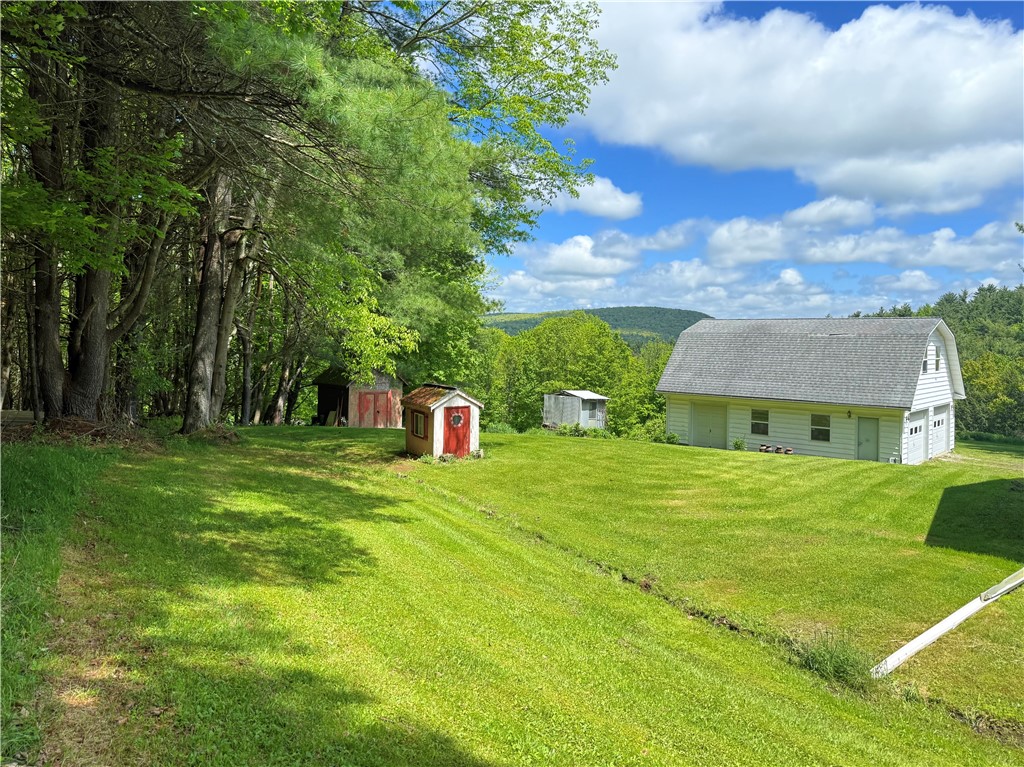 2113 Prosser Hollow Road, Davenport, New York image 3