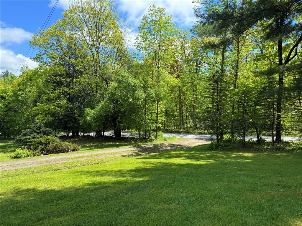 2113 Prosser Hollow Road, Davenport, New York image 8
