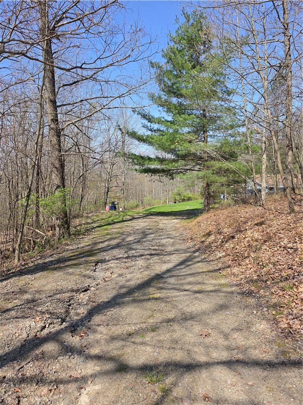 Photo of 1926 Ranch Lane, Erwin, NY 14830 (MLS # R1679233)