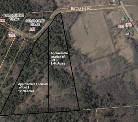 Vacant Land For Sale - LOT 2 Burdick Hill Road<br/> Otego, NY 13825