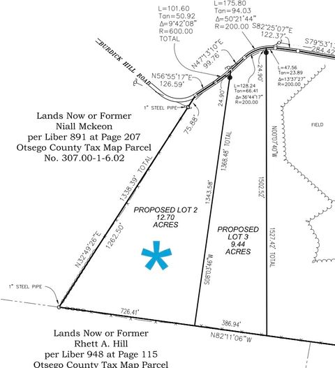 Vacant Land For Sale - LOT 2 Burdick Hill Road<br/> Otego, NY 13825