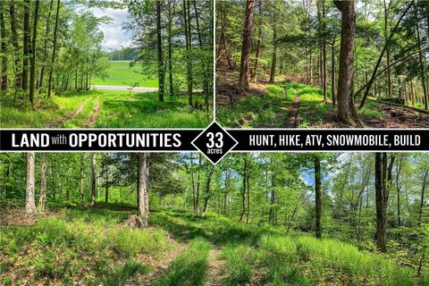 Vacant Land For Sale - County Highway 44<br/> Sidney, NY 13849