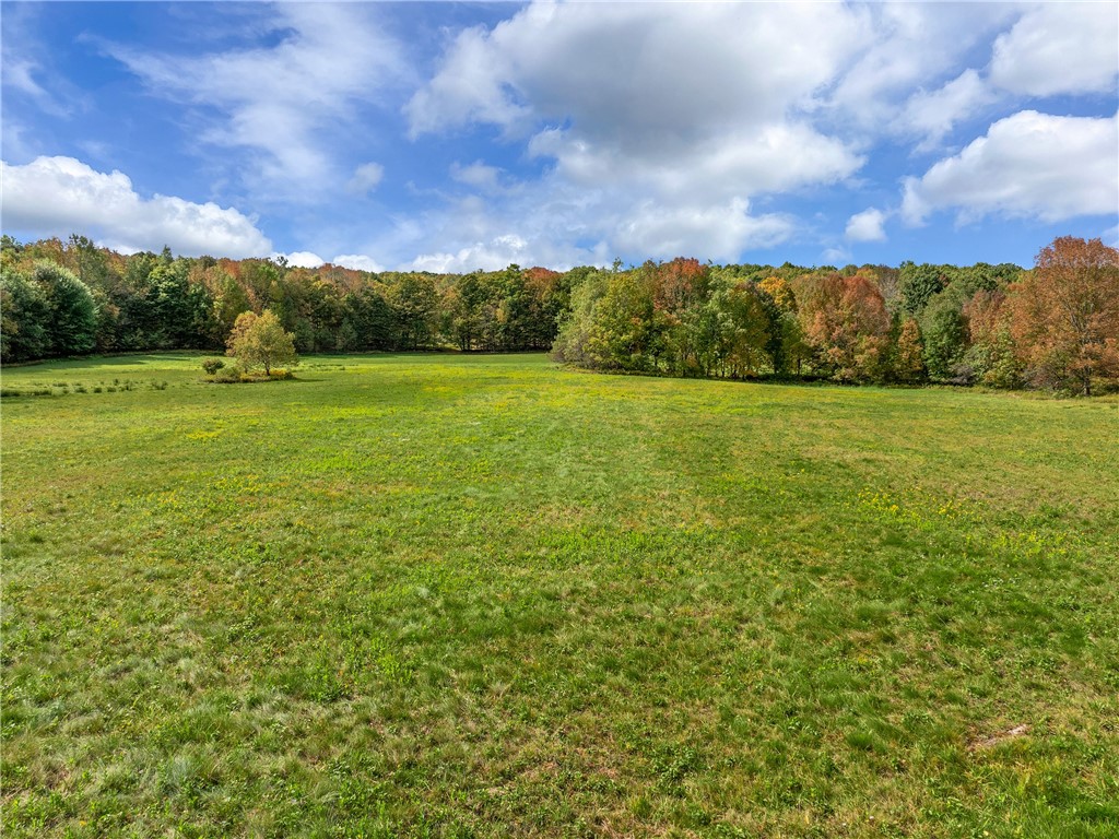 2359 Jackson Hill Road, Franklin, New York image 9