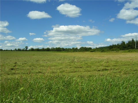 Photo for Pitcher Springs Road