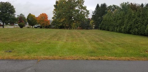 Vacant Land For Sale - 422-428 Demarest Parkway<br/> Elmira, NY 14905