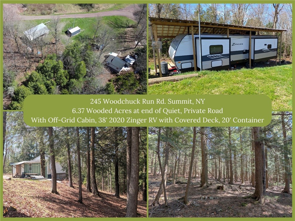 Photo 1 of 45 — 245 Woodchuck Run, Summit, NY 12093