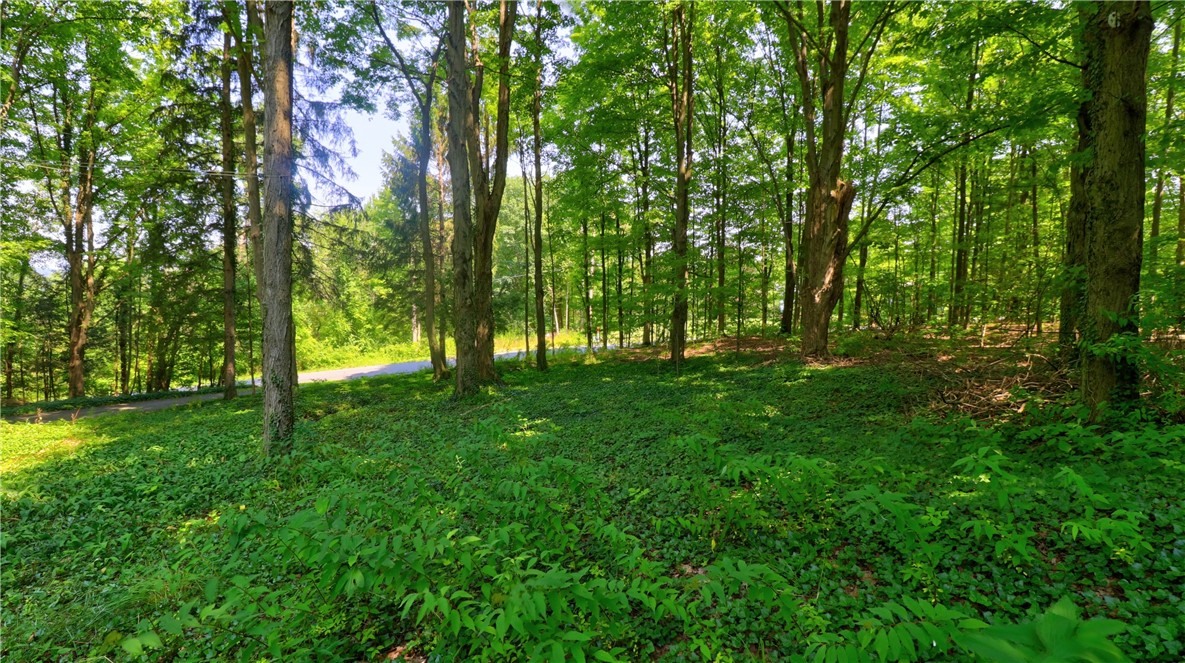 Locke, New York 13092, United States, 2 Bedrooms Bedrooms, ,2 BathroomsBathrooms,Residential,Pending,182719