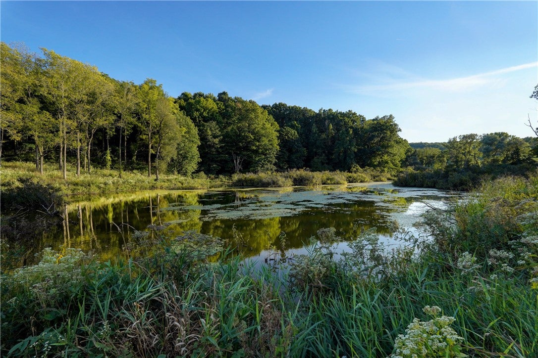 1514 Cranberry Pond