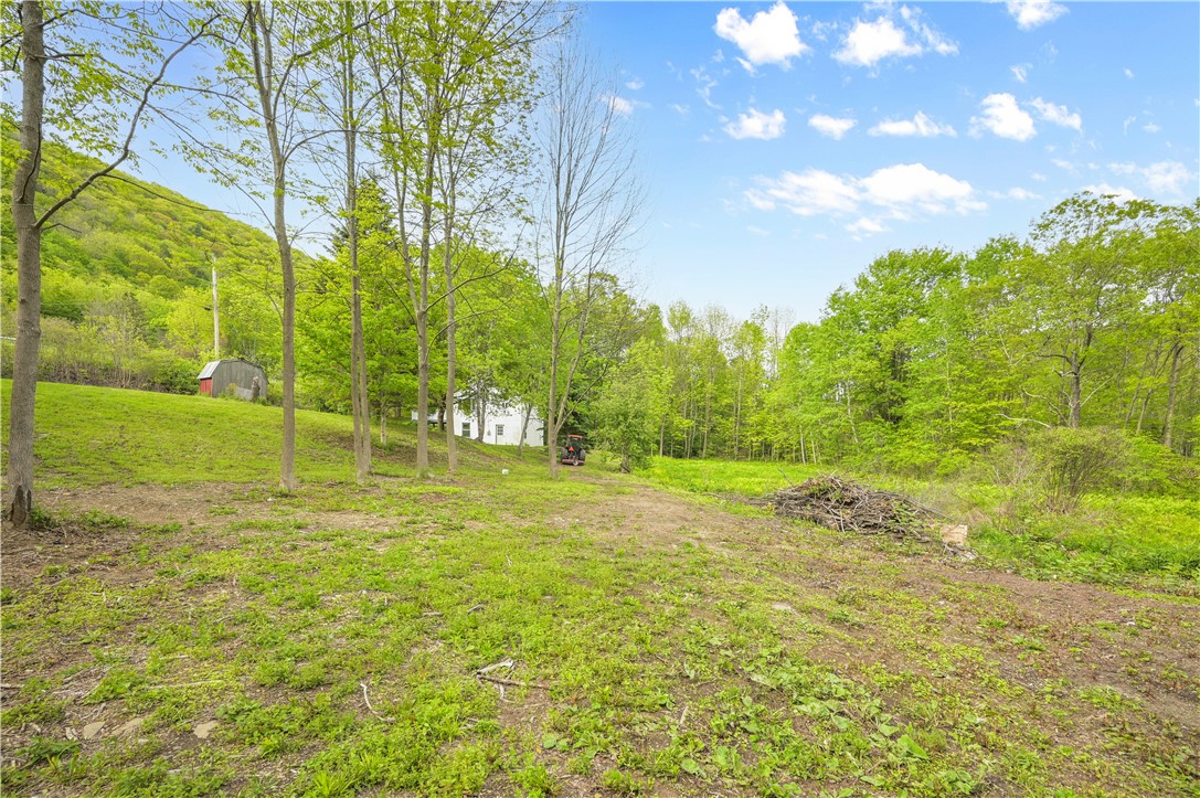 10610 State Route 7, Worcester, New York image 11