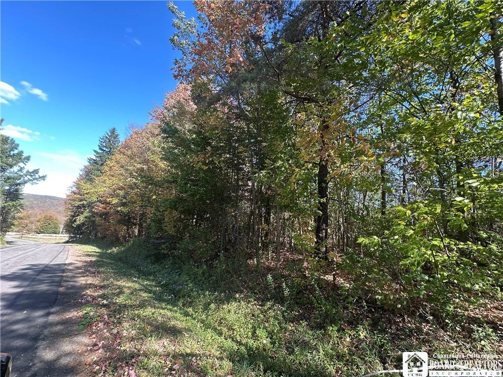 Photo 1 of 8 — Prill Road, Ashford, NY 14729