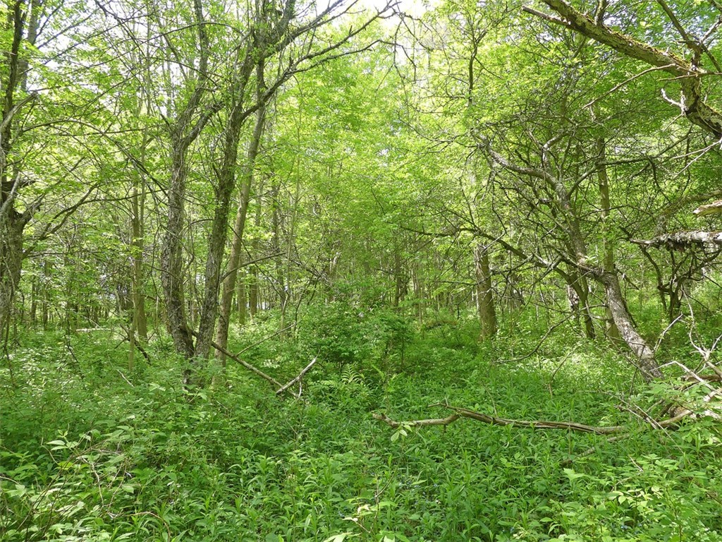 Lot 19 orchard lane
