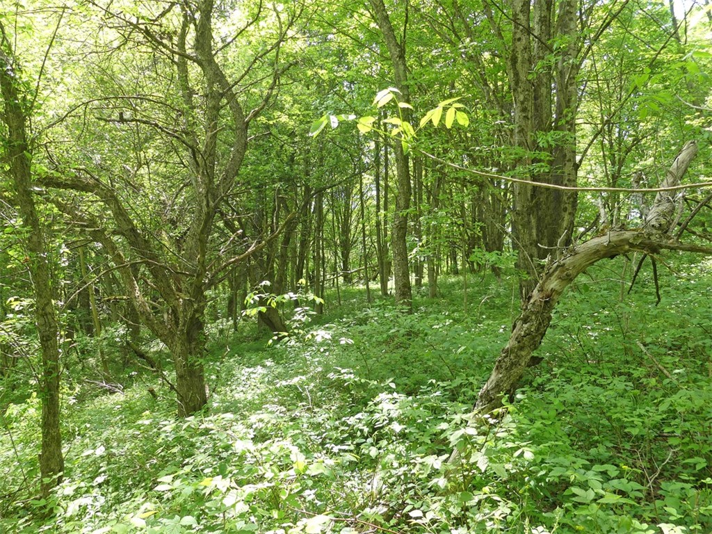 Lot 19 orchard lane