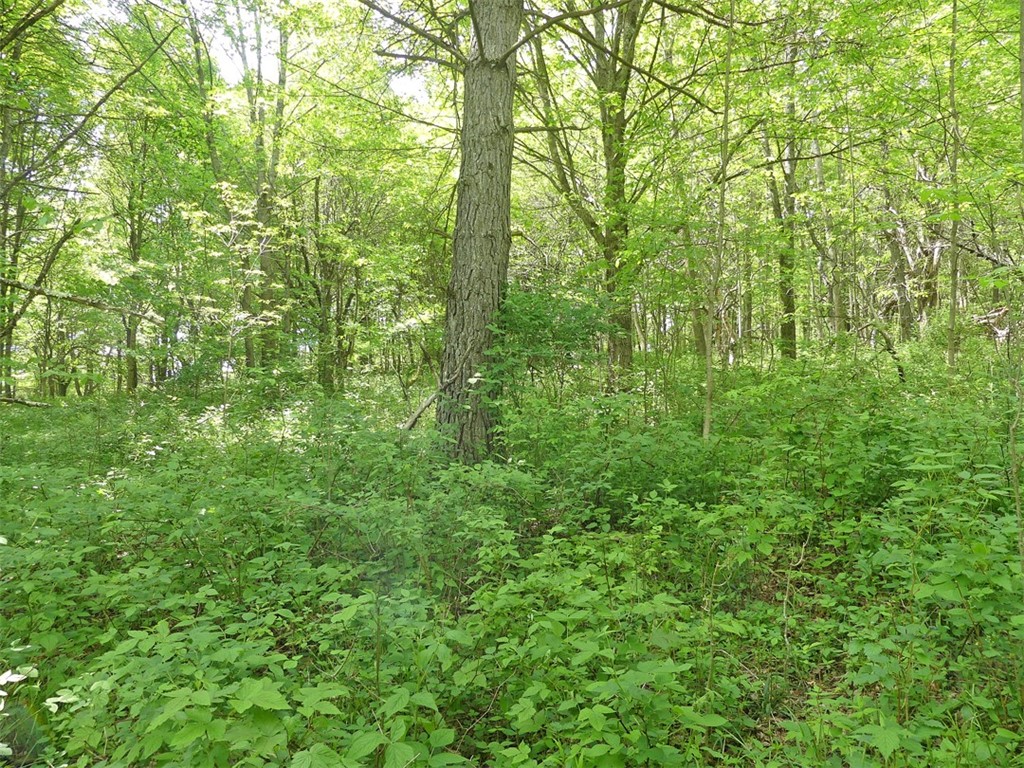 Lot 19 orchard lane
