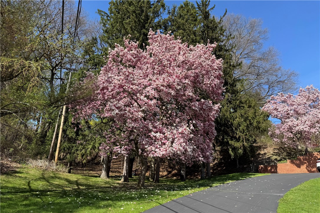 500 Saint Joseph Street, Irondequoit, New York image 4