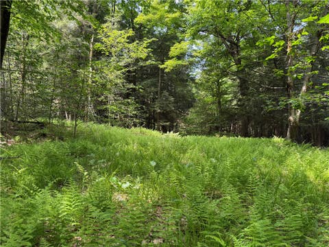 Vacant Land For Sale - VL 106 Road<br/> Allegany County, Alma, NY 14708
