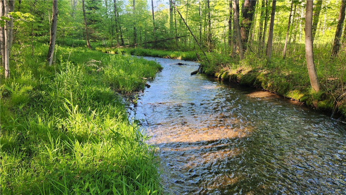 Tabors Corners Road, Springwater, New York image 2