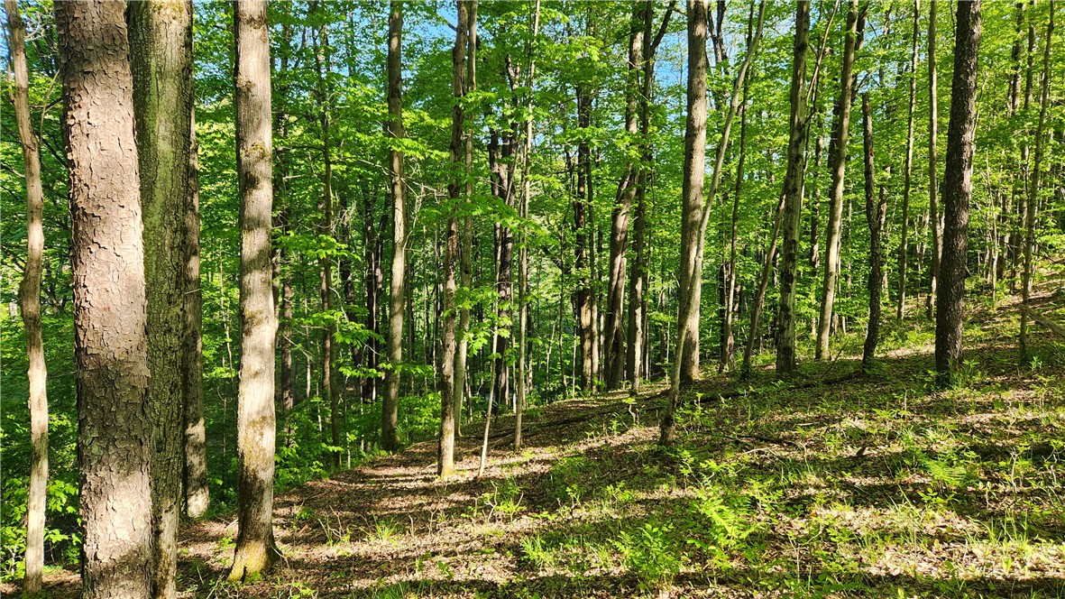 Tabors Corners Road, Springwater, New York image 30