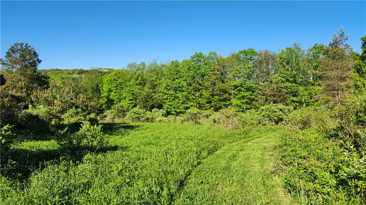 Tabors Corners Road, Springwater, New York image 32