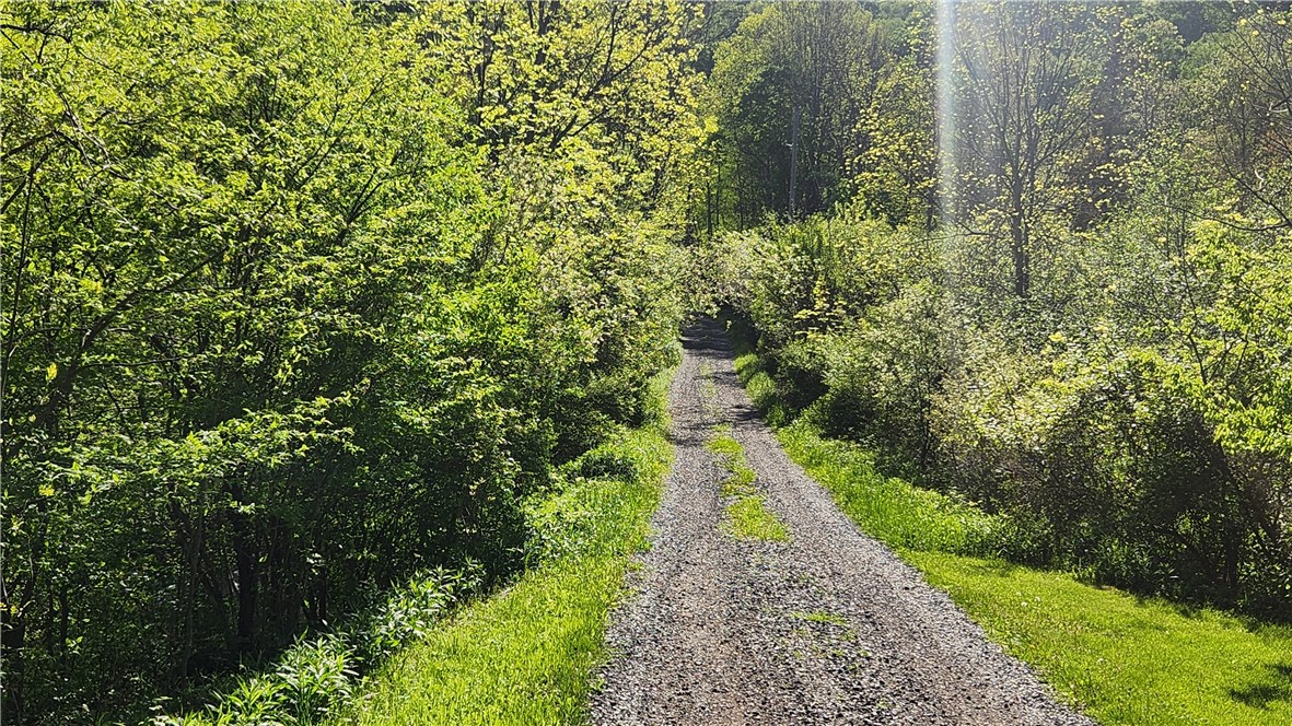 Tabors Corners Road, Springwater, New York image 4