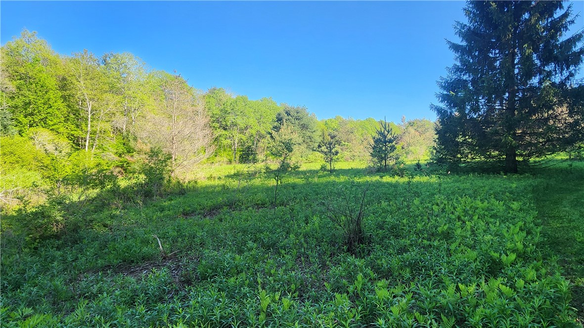 Tabors Corners Road, Springwater, New York image 19