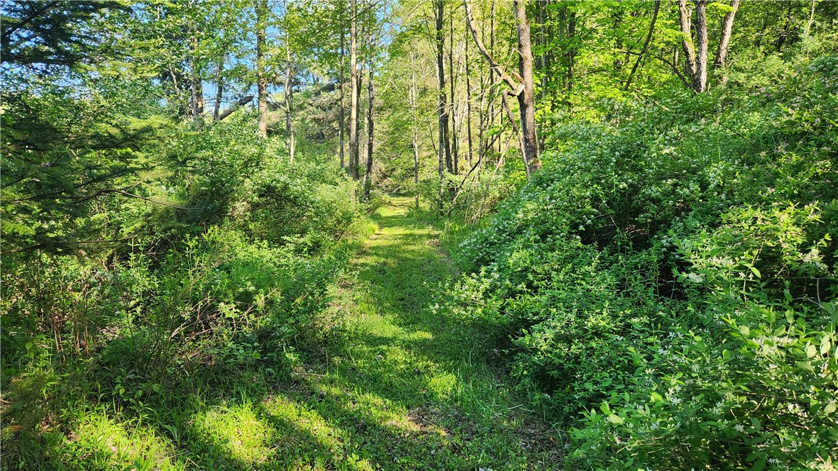Tabors Corners Road, Springwater, New York image 25