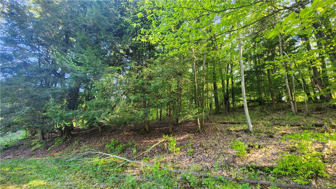 Tabors Corners Road, Springwater, New York image 27
