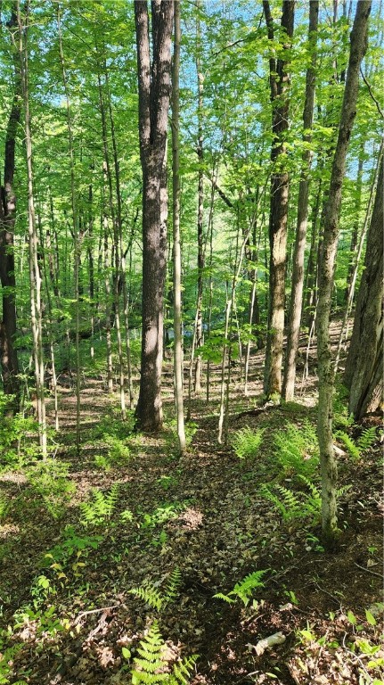 Tabors Corners Road, Springwater, New York image 31