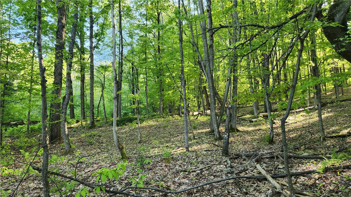 Tabors Corners Road, Springwater, New York image 24