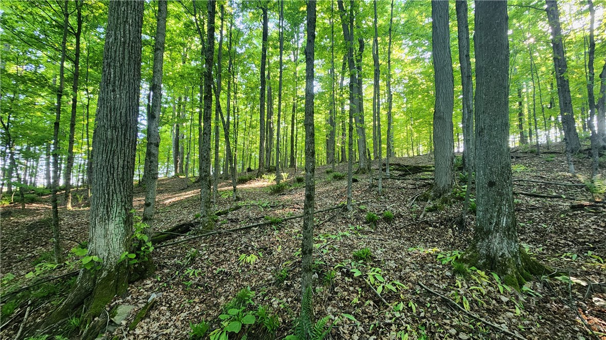 Tabors Corners Road, Springwater, New York image 39