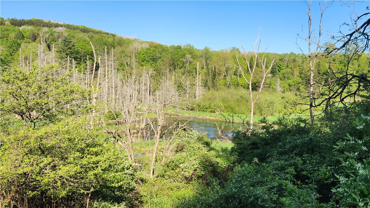 Tabors Corners Road, Springwater, New York image 21