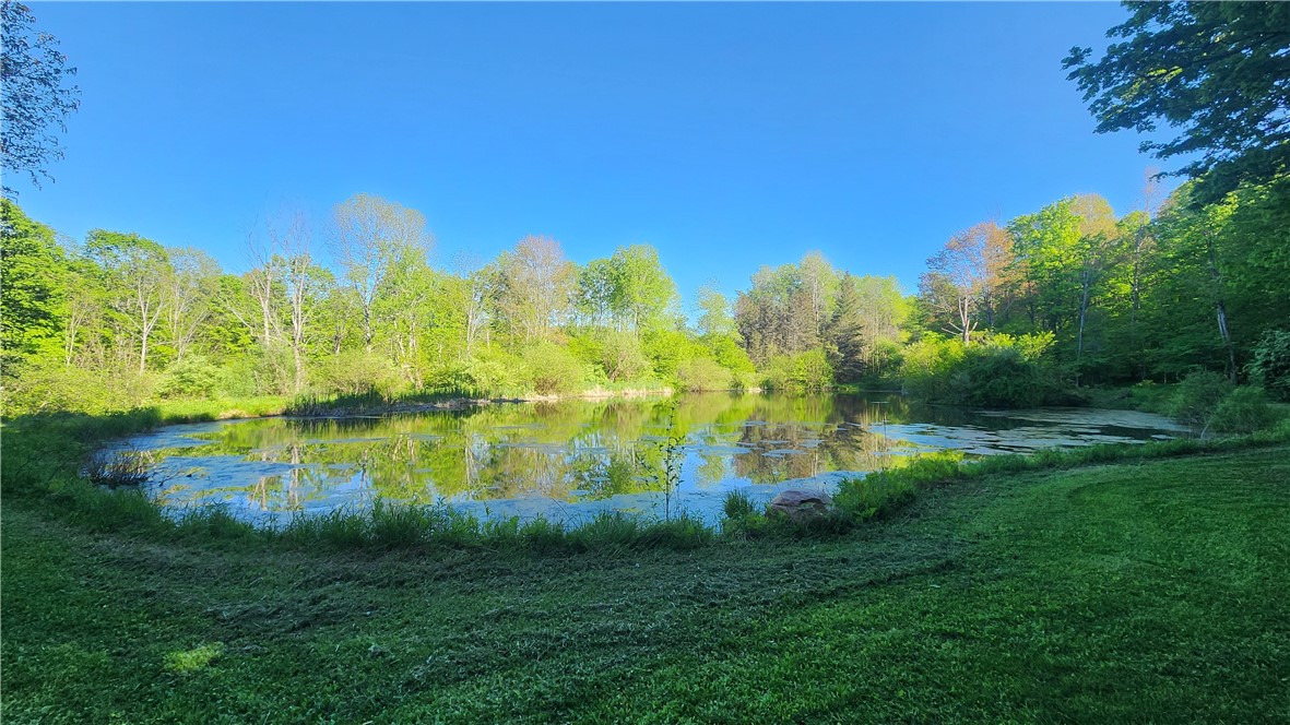 Tabors Corners Road, Springwater, New York image 14