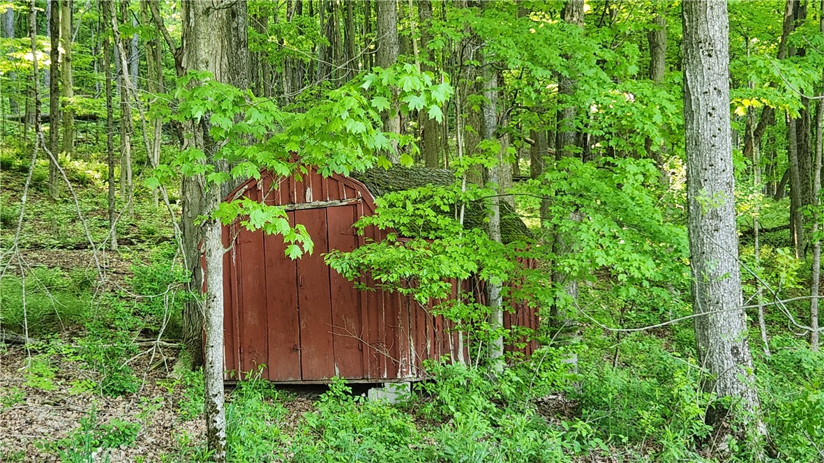 Tabors Corners Road, Springwater, New York image 12