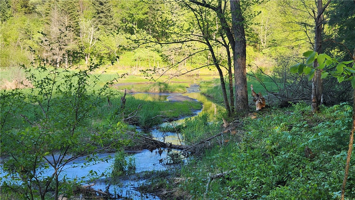 Tabors Corners Road, Springwater, New York image 26