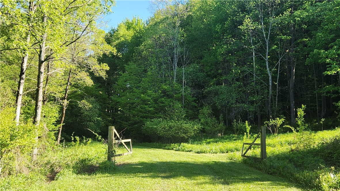 Tabors Corners Road, Springwater, New York image 6