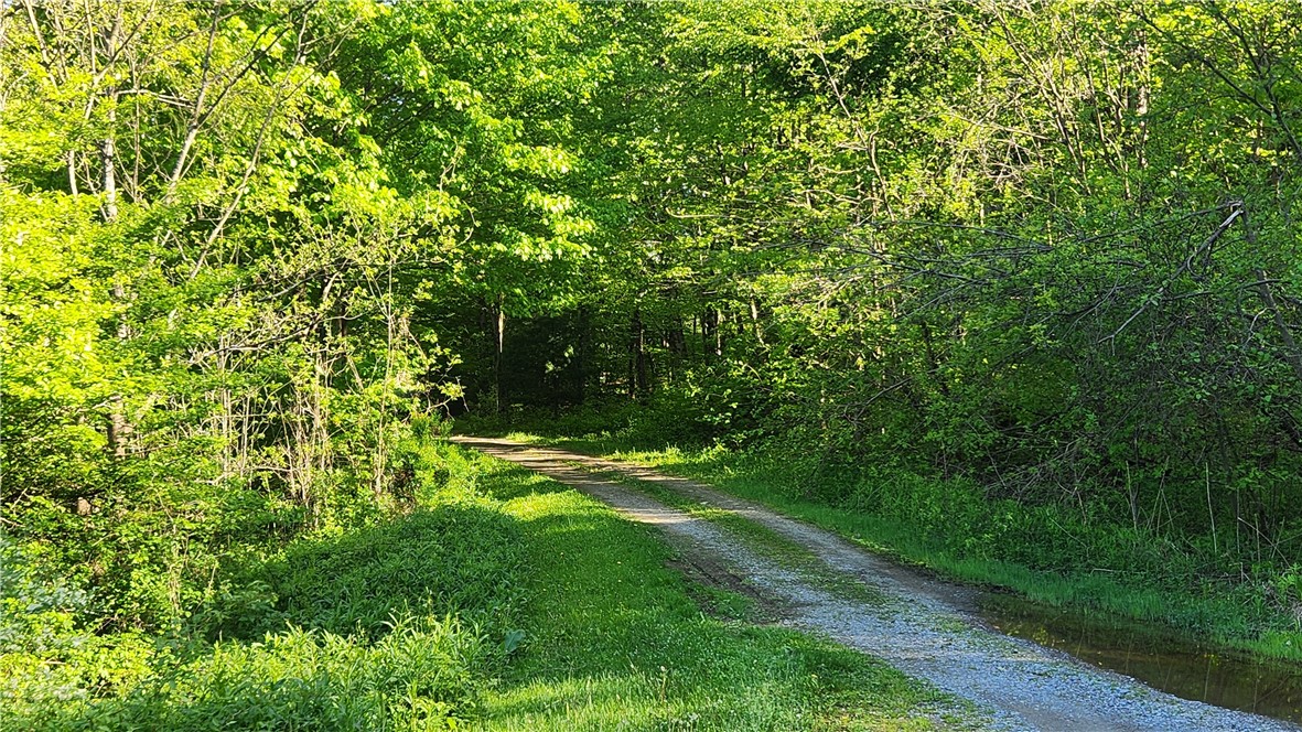 Tabors Corners Road, Springwater, New York image 5