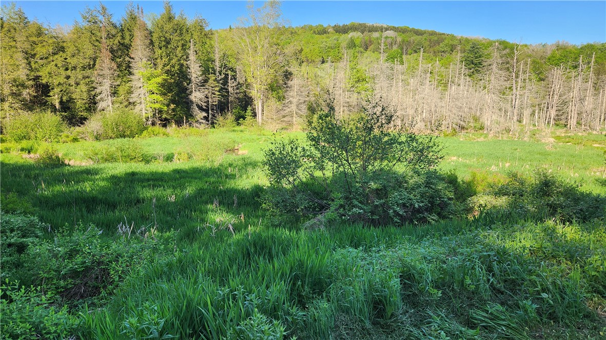 Tabors Corners Road, Springwater, New York image 22