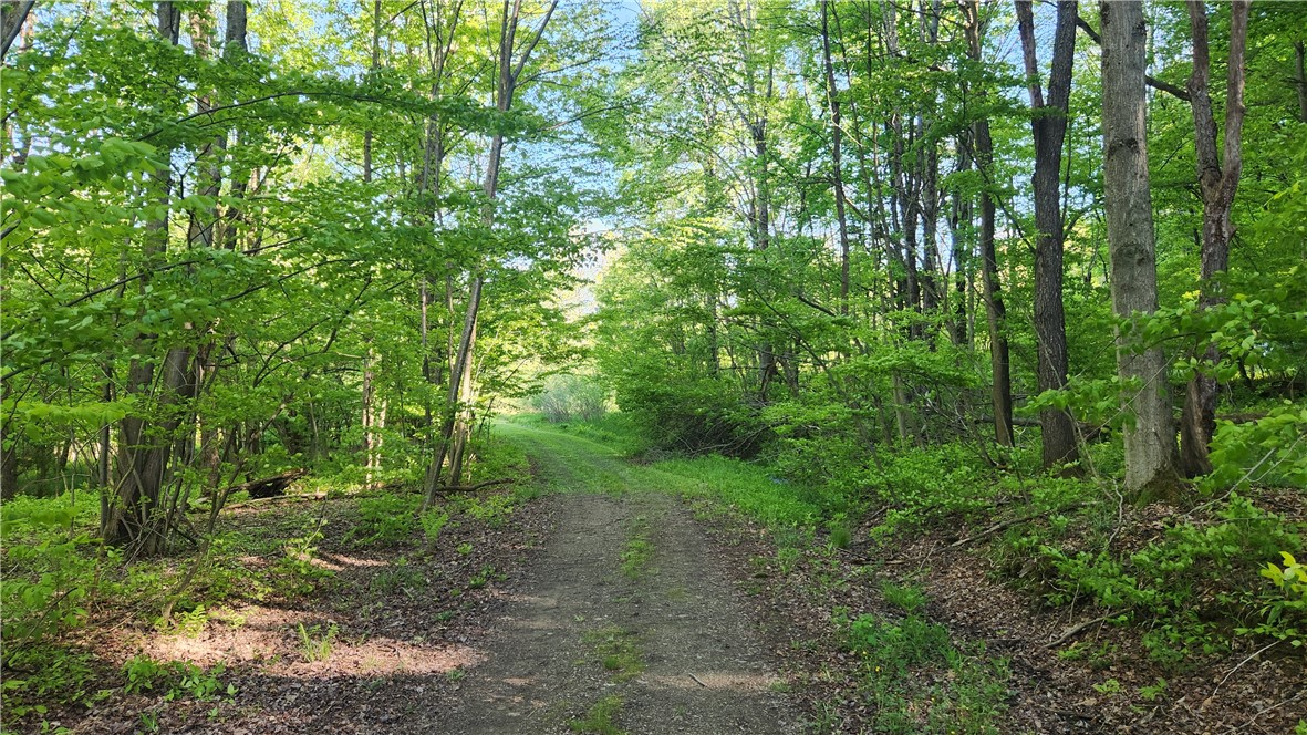 Tabors Corners Road, Springwater, New York image 7