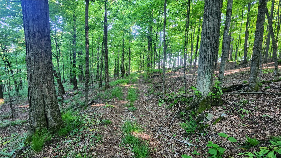 Tabors Corners Road, Springwater, New York image 38
