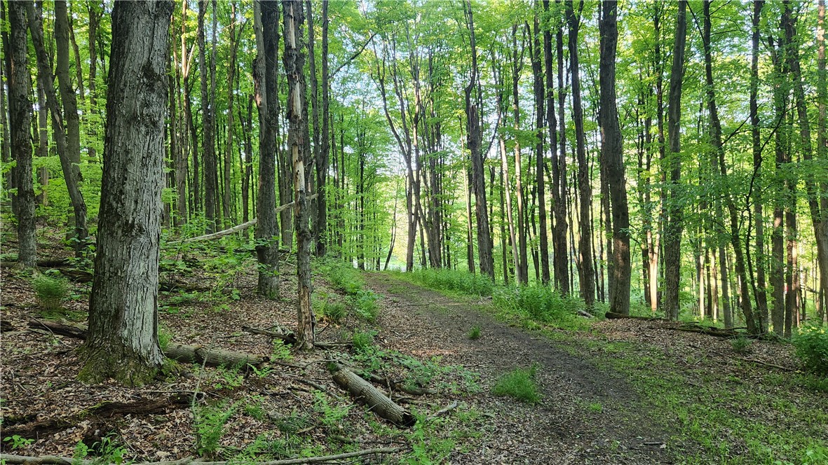 Tabors Corners Road, Springwater, New York image 35
