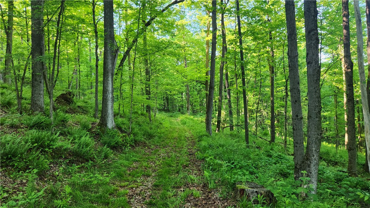 Tabors Corners Road, Springwater, New York image 34