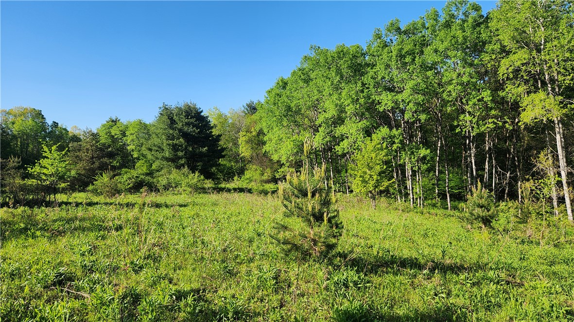 Tabors Corners Road, Springwater, New York image 29