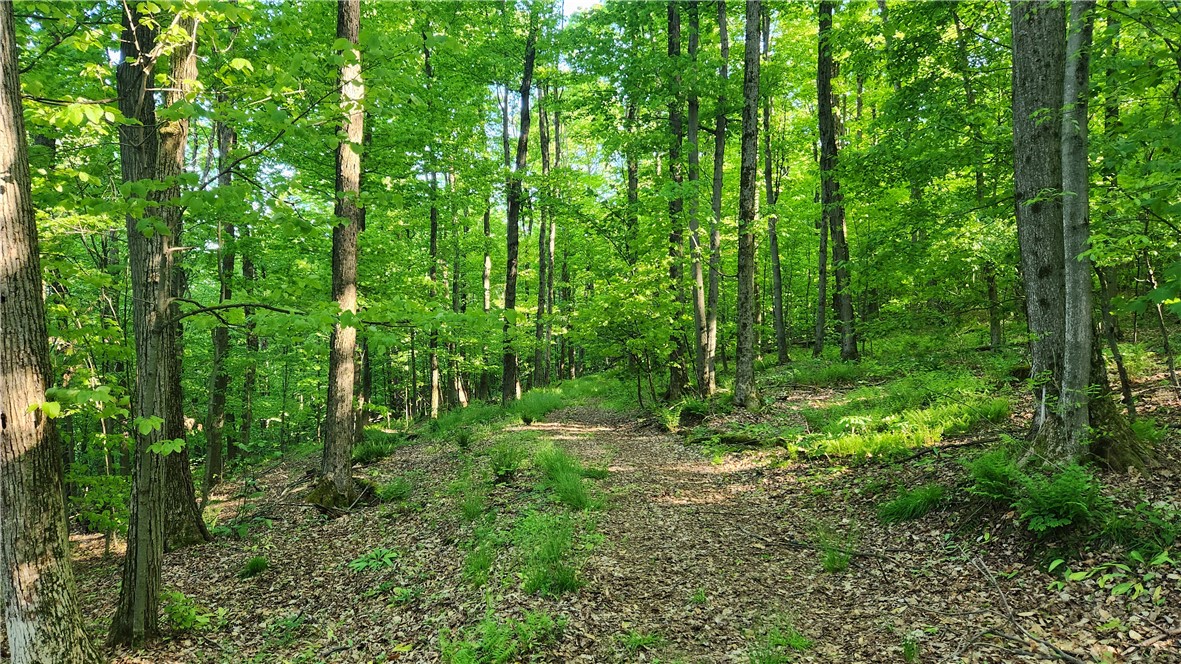 Tabors Corners Road, Springwater, New York image 37