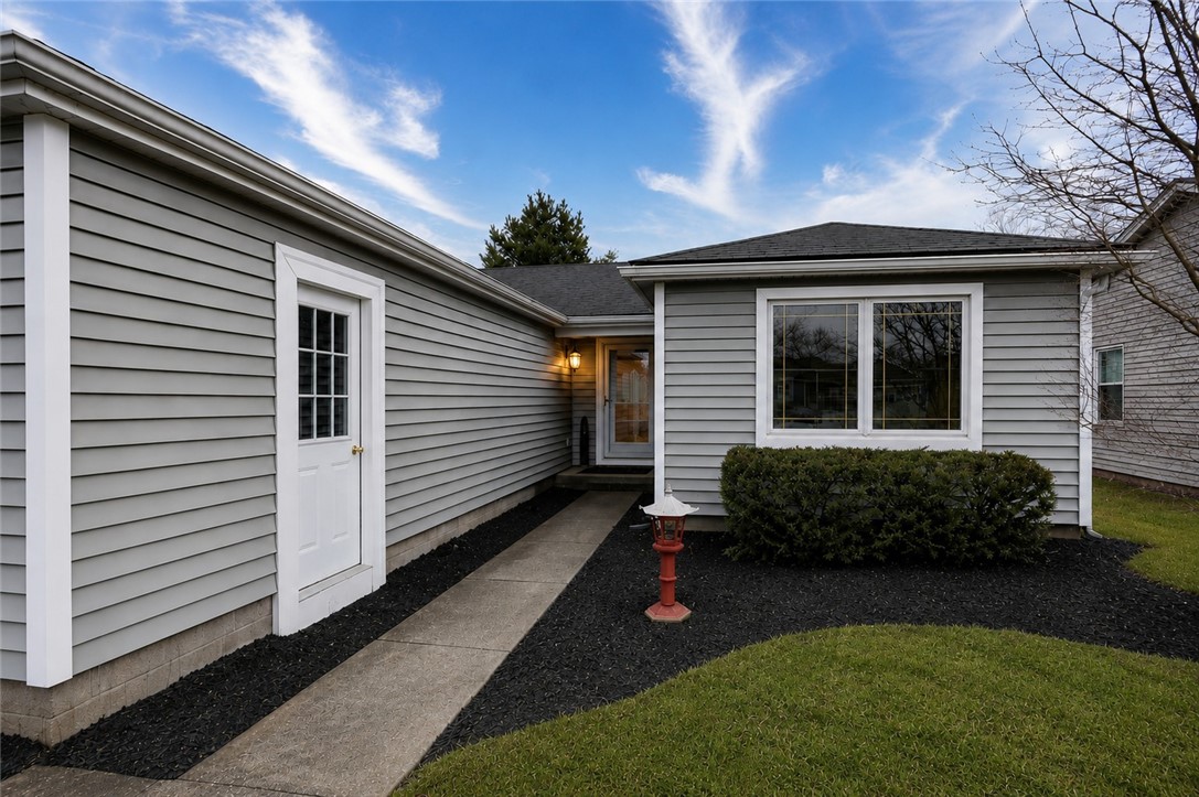 19 Tall Tree Drive