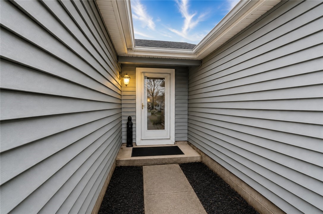 19 Tall Tree Drive