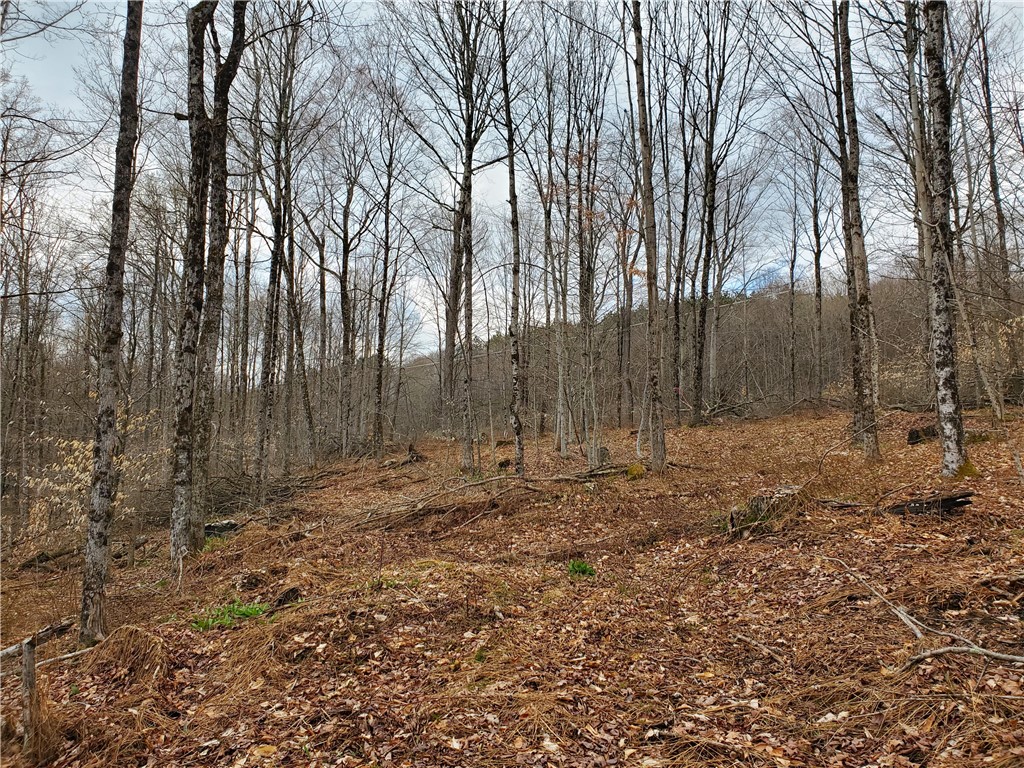 Lot 4 Goddards Road, New Lisbon, New York image 18
