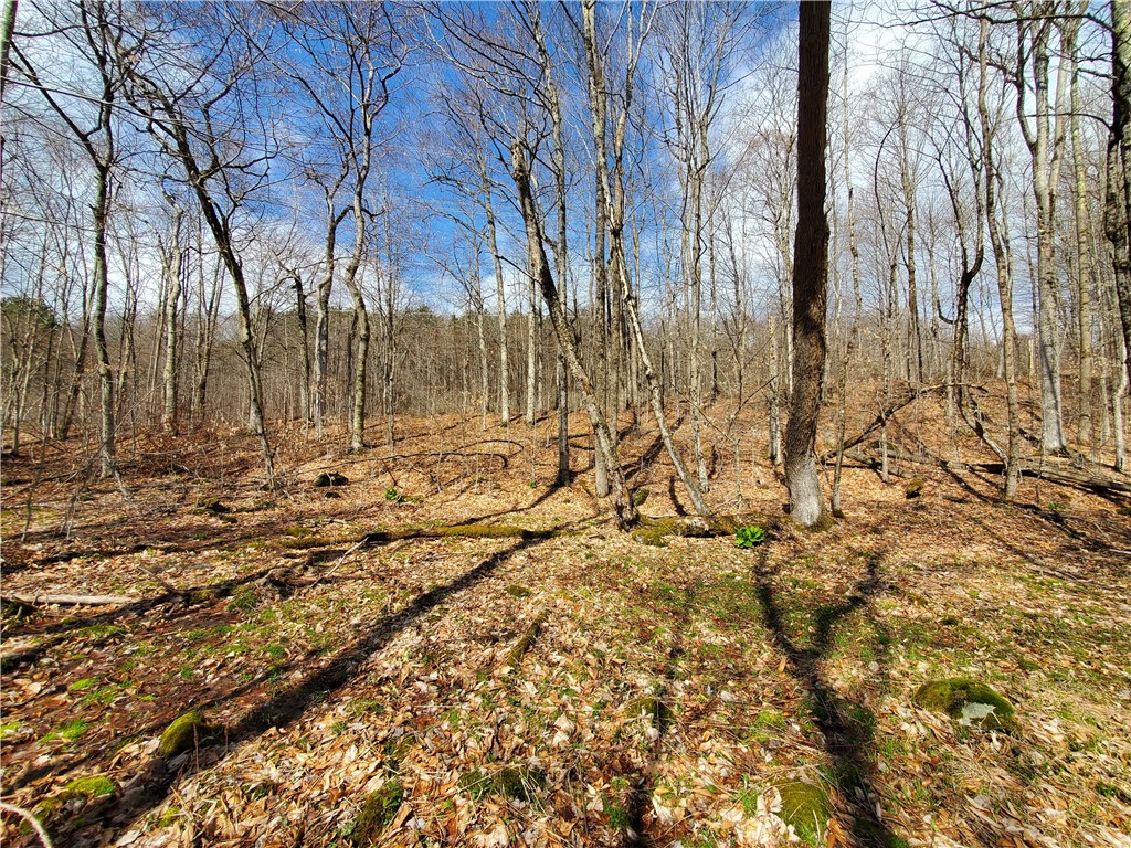 Lot 4 Goddards Road, New Lisbon, New York image 9