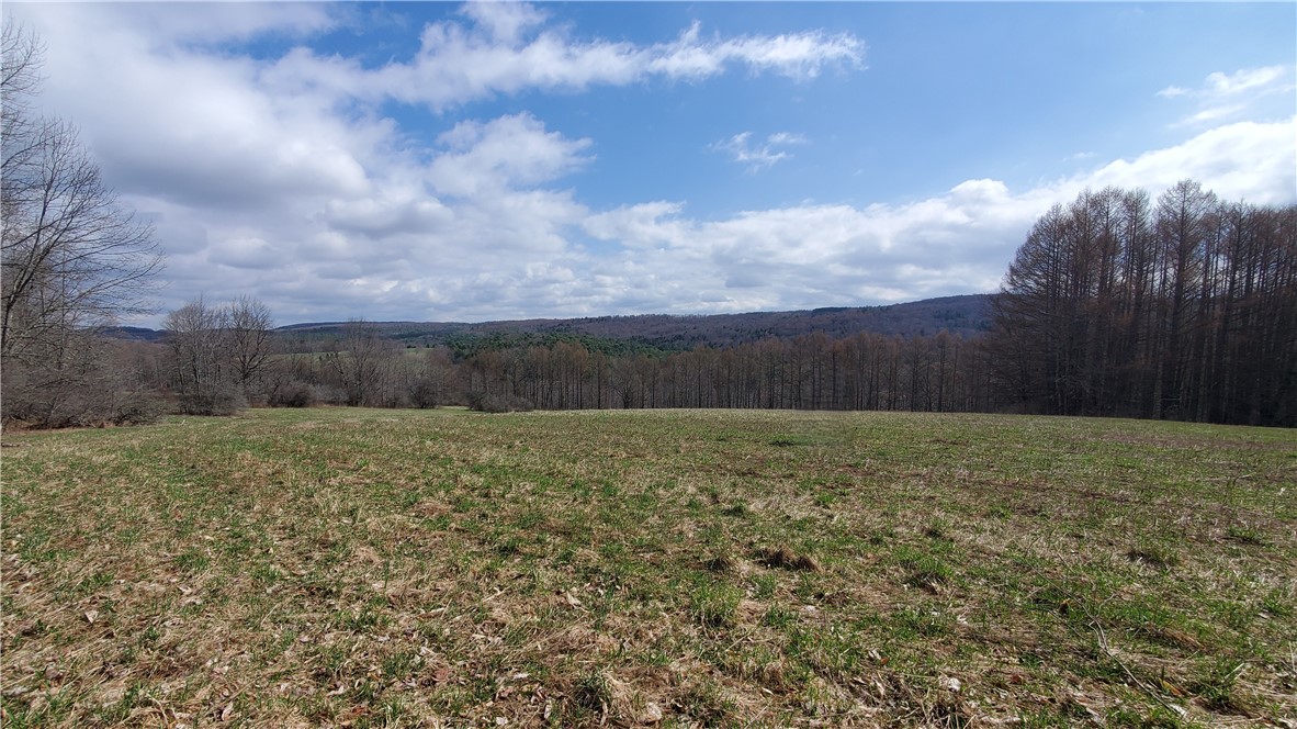 Lot 4 Goddards Road, New Lisbon, New York image 3