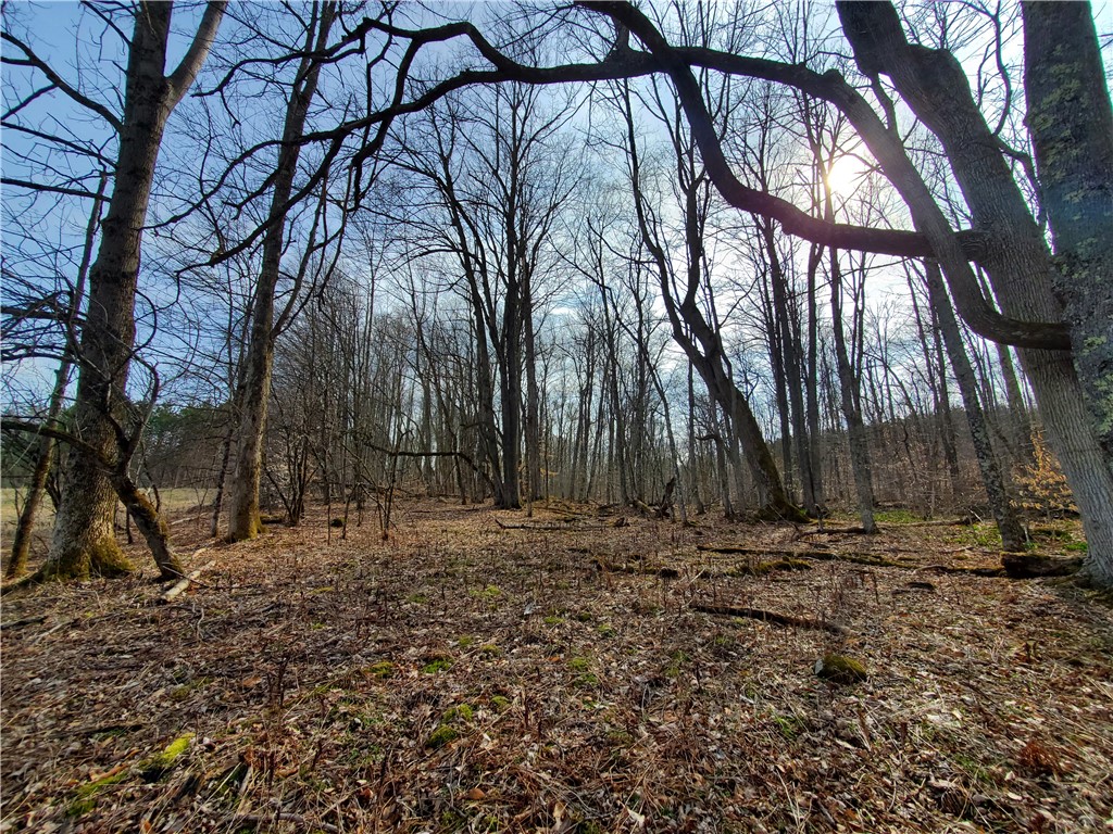 Lot 4 Goddards Road, New Lisbon, New York image 8