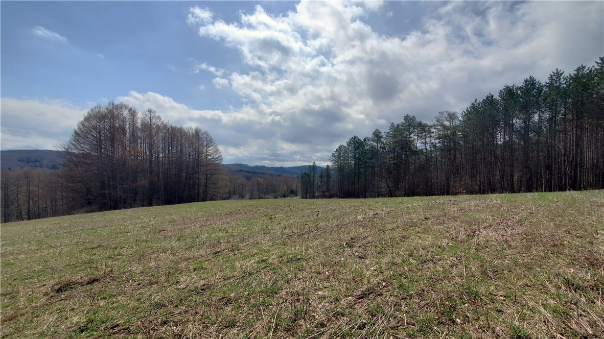 Lot 4 Goddards Road, New Lisbon, New York image 4
